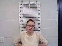 Mugshot of Young, Heather  