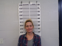 Mugshot of Teel, Dawn Kay 