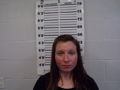 Mugshot of Burkeybile, Hayley Danea 